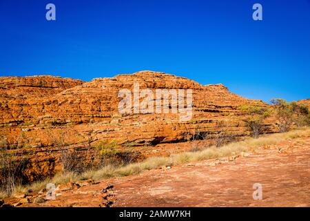 Traversez la literie dans les dômes de type ruche à Kings Canyon. C'est la preuve que la Mereenie Sandstone était à l'origine des dunes de sable. Banque D'Images