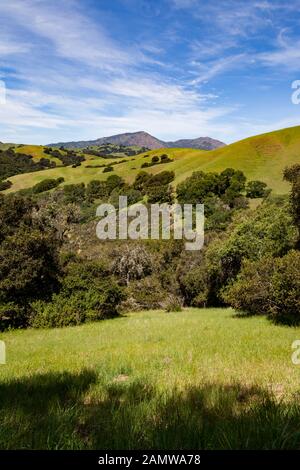 Collines de la Réserve régionale de Morgan Territory, un parc régional de East Bay situé dans le comté de Contra Costa en Californie à la base du mont Diablo. Banque D'Images