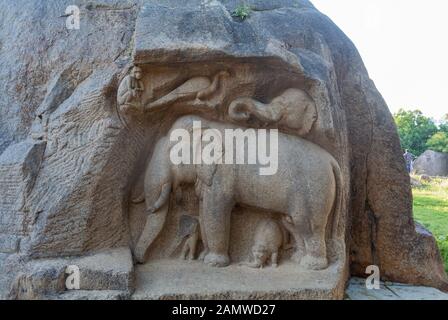 Mahabalipuram, Tamil Nadu, Inde du Sud, 3rd de Janury, 2020: Détails de la sculpture d'un singe, d'un paon et d'un éléphant. Banque D'Images