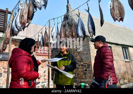 (200115) -- RONGCHENG, 15 janvier 2020 (Xinhua) -- Yu Haiyang présente des mackerels séchés faits maison aux clients du village de Yandunjiao de Rongcheng, dans la province de Shandong en Chine orientale, 12 janvier 2020. Yandunjiao, un village côtier de Shandong, est plein de vitalité autant de cygnes hivernent ici. Fin 2014, le service de train à grande vitesse entre Qingdao et Rongcheng a été lancé et de nombreux touristes sont venus ici pour voir les cygnes, goûter les spécialités locales et découvrir la famille d'accueil dans les maisons au toit d'algues. Yu Haiyang, un villageois natif qui a travaillé une fois à Singapour après son diplôme, est revenu dans sa ville natale A. Banque D'Images