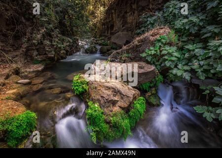 Rivière Banias au nord d'Israël, qui coule sur les roches, filmée avec une technique d'exposition prolongée. Banque D'Images