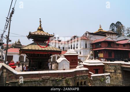 Temple De Pashupati Nath Au Complexe De Pashupatinath, Katmandou, Népal Banque D'Images