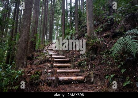 Randonnées sur les étapes à Kumano Kodo trail au Japon. Kumano Kodo est une série d'anciennes routes de pèlerinage qui sillonnent les monts Kii Hanto, la plus grande Banque D'Images