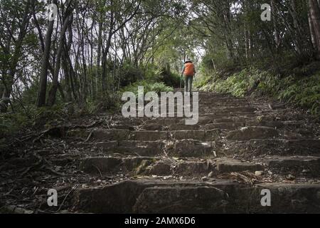 Marcher sur les étapes à la piste de Kumano Kodo au Japon Banque D'Images