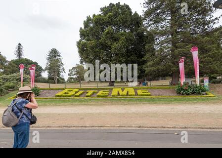 Une femme photographie une exposition de plantes dans les jardins botaniques royaux de Sydney qui dit Bite Me. les mots se réfèrent à une exposition de plantes carnivores Banque D'Images