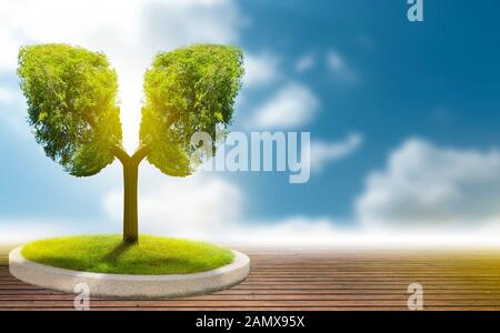 L'arbre vert en forme de poumon-images, des concepts médicaux, l'autopsie, affichage 3D et les animaux comme un élément Banque D'Images