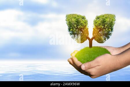 L'arbre vert en forme de poumon-images, des concepts médicaux, l'autopsie, affichage 3D et les animaux comme un élément Banque D'Images