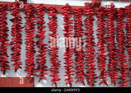 Des guirlandes de petits piments rouges sont accrochés sur les murs du village blanc dans Esplettein le pays Basque France Banque D'Images