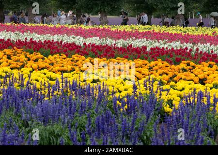 Vue sur le champ de fleurs à la ferme Tomita, célèbre attraction touristique à Nakafurano, Hokkaido, Japon, Asie. Fleurs fleuries dans les champs Banque D'Images