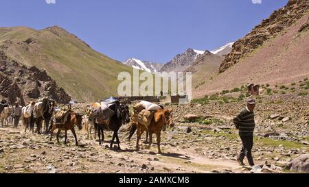 Trekking à Stok Kangri, Ladakh Banque D'Images