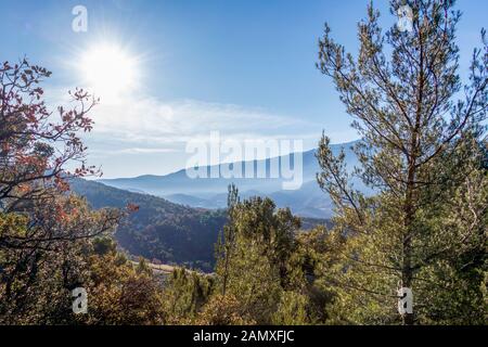 Paysage méditerranéen avec evergreen vert forêt et Mont Ventoux montagne dans la région de la Provence du sud de la France Banque D'Images