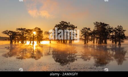 C'est la photo de lever de soleil à Caddo Lake Texas, Louisiane, USA Banque D'Images