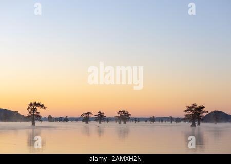 C'est la photo de lever de soleil à Caddo Lake Texas, Louisiane, USA Banque D'Images