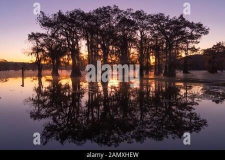 C'est la photo de lever de soleil à Caddo Lake Texas, Louisiane, USA Banque D'Images