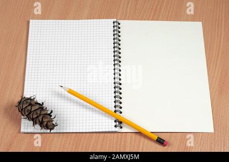 Ouvrir le bloc-notes, crayon et cône de pin sur le bureau Banque D'Images