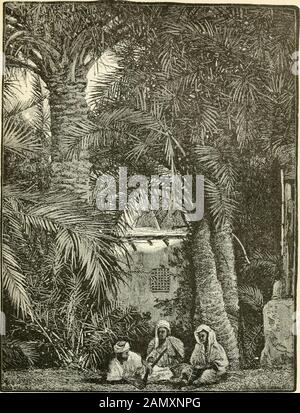 La Terre Sainte et la Bible; . 4,1 ; XV. f, 2 ; BEU. Jud., i. 6, 6; iv. 8, 2, 3. 6 Josh. Il. 6,. Palmiers. (Voir page 394.) •t XXVIII.] PLAINE Tjjje DE JÉRICHO. 395 ensemble à elle, comme si le gel avait été un trifle pour une telle maîtresse! La thetree à partir de laquelle le henné est obtenu, le colorant encore utilisé par l'utérus de l'est pour tacher leurs ongles, a aussi grandi ici. Le fils ofSirach fait la Sagesse dire qu'elle est loqueuse comme les ])alni arbres ofEngedi, et comme les roses de Jéricho.^ Sycamores formés alleysaux côtés des routes, comme ils le font maintenant dans la banlieue du Caire.- Evenyet, le zukkkum, un petit arbre épineux, donne à partir de Banque D'Images