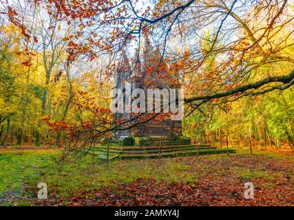 Torre Alfina (Latium, Italie) - Le bois sacré et magique appelé 'Bosco del Sasseto' pendant l'automne avec le feuillage, à côté du village médiéval avec Banque D'Images