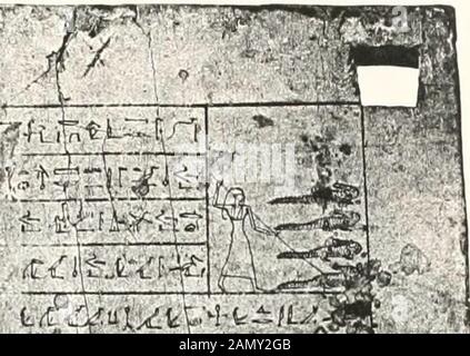 Sarcophages de l'époque bubatite à l'époque saïte .