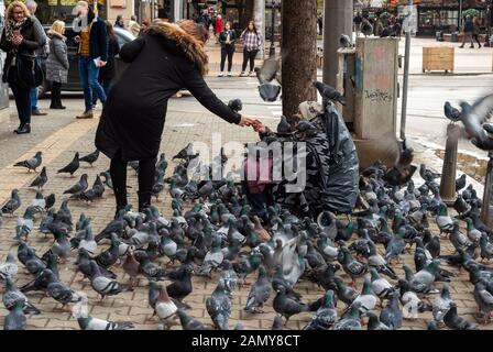 Touriste donnant de l'argent à la vieille femme séchée sur un trottoir entouré de pigeons comme une attraction locale dans les rues de Sofia, Bulgarie, Europe, eu Banque D'Images