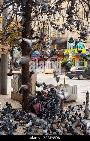 Femme âgée sans-abri mendiant entouré de nombreux pigeons mendiant pour de l'argent sur le trottoir ou le trottoir de rue élevé à Sofia, Bulgarie Banque D'Images