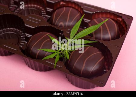 Les sucreries et les comestibles chocolat medicinal cannabis médical. chocolat pour soulager le stress avec de la marijuana sur fond rose. Banque D'Images