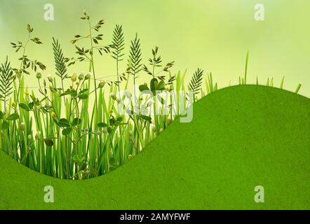 L'herbe verte sauvage et agitaient place papier pour le texte sur un fond vert Banque D'Images