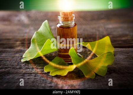 Le gingko biloba huile essentielle et feuilles fraîches sur planche de bois Banque D'Images
