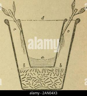 Jardinage pour les femmes, et, Companion au jardin de fleurs . brûle Iles racines tendres des boutures. M. ?Alexander Forsyth, un jeune jardinier très intel- iligent, recommande le plan suivant : Prendre un pot large de quarante-huit dimensions, et mettre quelques potscherds au fond, de la manière habituelle. Prenez ensuite une petite soixante à large bouche, et mettez un morceau d'argile dans le fond, pour arrêter le trou, puis placez-le sur le côté de l'autre, de sorte que les hauts des deux pots peuvent être sur un niveau. ThesPace entre les pots doivent être remplis de sable ou d'autres sols, et les boutures insérées comme shownin Jg. 7. Le po interne Banque D'Images