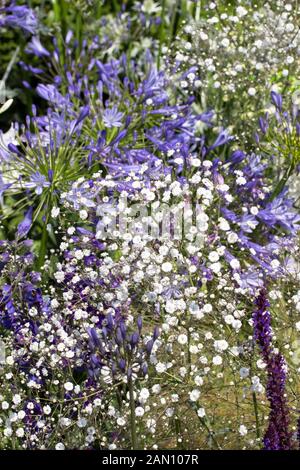 Le jardin d'ECOVER PAR MATTHEW CHILDS RHS Hampton Court Flower Show BEST IN SHOW ET D'OR Banque D'Images