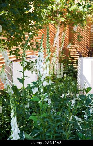 Août 1963 J'AI UN RÊVE - GARDEN DESIGNER STEPHEN RYAN UN RHS Hampton Court Flower Show. Célèbre 50 ANS DE PROGRÈS DANS L'intégration raciale et l'égalité DEPUIS MARTIN LUTHER KING'S CÉLÈBRE DISCOURS EN AOÛT 1963. Banque D'Images