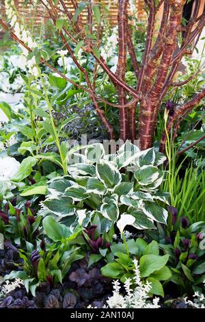 Août 1963 J'AI UN RÊVE - GARDEN DESIGNER STEPHEN RYAN UN RHS Hampton Court Flower Show. Célèbre 50 ANS DE PROGRÈS DANS L'intégration raciale et l'égalité DEPUIS MARTIN LUTHER KING'S CÉLÈBRE DISCOURS EN AOÛT 1963. Banque D'Images