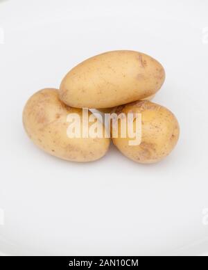 Les TUBERCULES DE POMME DE TERRE (SOLANUM TUBEROSUM) Banque D'Images