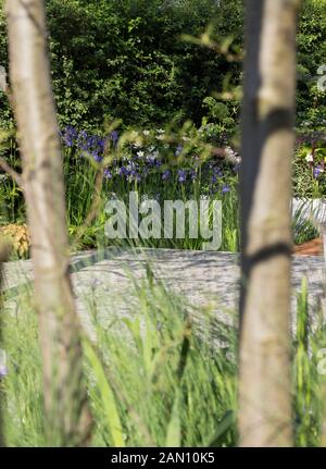 Hydropanorama de RBC - LE JARDIN CONÇU PAR HUGO BUGG PAYSAGES - RHS CHELSEA Banque D'Images