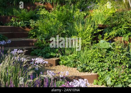 Un jardin POUR PREMIER CONTACT AU ST. GEORGE'S HOSPITAL - RHS CHELSEA Banque D'Images