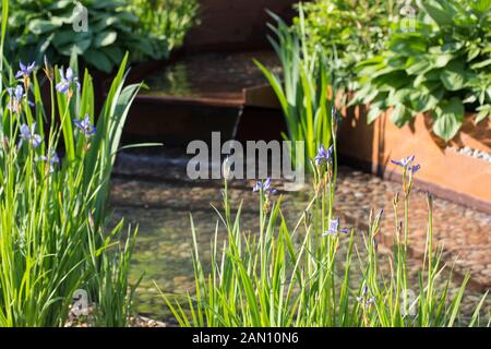 Un jardin POUR PREMIER CONTACT AU ST. GEORGE'S HOSPITAL - RHS CHELSEA Banque D'Images