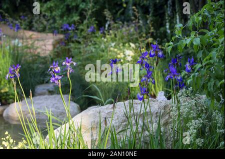 Espoir À L'HORIZON - DESIGNER MATT KEIGHTLEY - RHS CHELSEA Banque D'Images