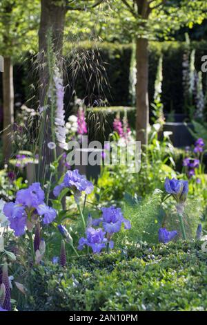 Espoir À L'HORIZON - DESIGNER MATT KEIGHTLEY - RHS CHELSEA Banque D'Images