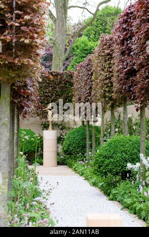 Le LAURENT PERRIER BICENTENAIRE JARDIN DESIGNER ARNE MAYNARD RHS Chelsea Flower Show 2012. Chemin DE LIAISON AVEC PLEACHED Fagus sylvatica PURPUREA - COPPER BEECH Banque D'Images