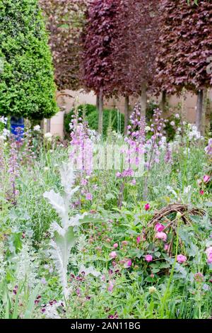 Le LAURENT PERRIER BICENTENAIRE JARDIN DESIGNER ARNE MAYNARD RHS Chelsea Flower Show 2012. Groupe Onopordum acanthium ASTOLAT DELPHINIUM ROSA LOUISE ODIER Banque D'Images