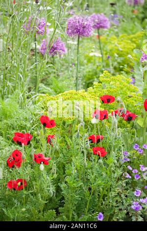 L'BREWIN DOLPHIN GARDEN-DESIGNER CLEVE WEST RHS CHELSEA GAGNANT 2012 BEST IN SHOW Banque D'Images