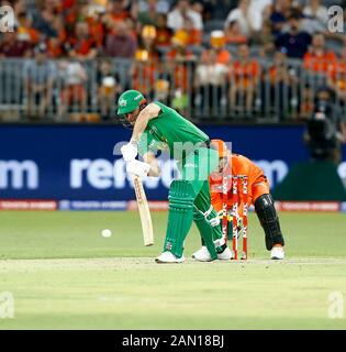 15 janvier 2020; Optus Stadium, Perth, Australie occidentale, Australie; Big Bash League Cricket, Perth Scorchers contre Melbourne Stars; Marcus Stoinis des Melbourne Stars joue un tir défensif - Usage éditorial Banque D'Images