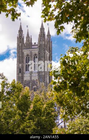 Tour de Cleveland, l'Université de Princeton ; saison automne lierre et verdure en premier plan Banque D'Images