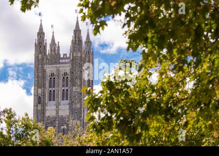 Tour de Cleveland, l'Université de Princeton ; saison automne lierre et verdure en premier plan Banque D'Images