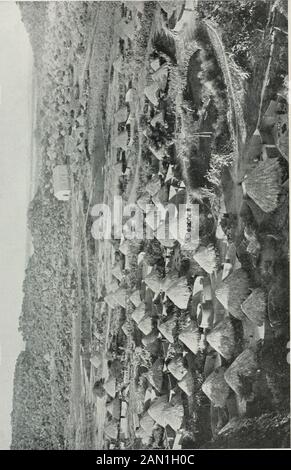 Histoire naturelle . un ensemble ethnologique de n'importe quel peuple une question de grande valeur éducative. Au cours de la dernière année, M. Douglas a visité Barotse et Becmarihuana-Land. Comme on peut le voir sur la carte, ces territoires occupent la partie entirecentrale de cette partie de l'Afrique située entre les frontières méridionales de l'État libre du Congo et le fleuve Orange. Cette région est divisée en K^^l VBAROTSC Law J t-arnbez, A J% KHAMAS MlffGDM i Oranq&gt; / ioa 200 300 400 sucette-deux parties par la rivière Zambèze, bien connue pour ses magnifiques chutes VictoriaFalls. Tout l'intérieur de l'Afrique du Sud a été pour le som Banque D'Images