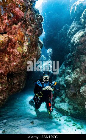 Plongée sous-marine explorant un canyon dans la grande barrière de corail en Australie Banque D'Images