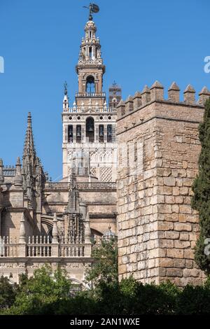 Le clocher orné de Giralda de la cathédrale de Séville s'élève au-dessus d'une tour d'angle du Véritable palais de l'Alcázar. Banque D'Images