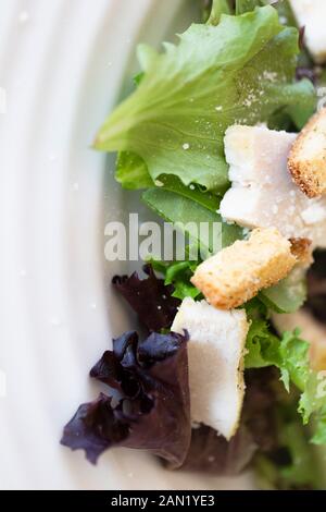 Gros plan de salade fraîche avec morceaux de poulet et croûtons Banque D'Images