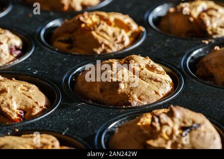Close-up sur delicious chocolat-vanille vegan et cherry muffins dans un moule à muffins noir dans la lumière du soleil - diagonal view, orientation paysage horizontal Banque D'Images