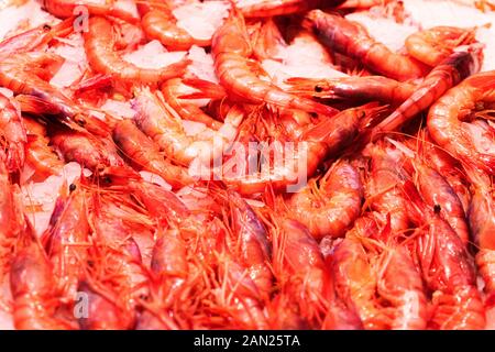 Vue supérieure aux crevettes sur l'affichage sur la glace dans le marché en magasin pêcheur marché espagnol Banque D'Images