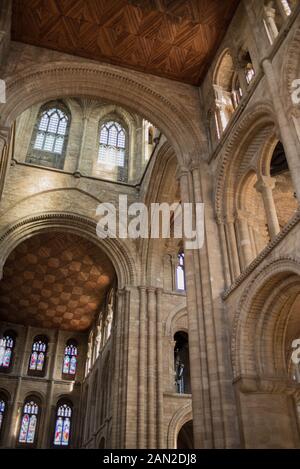 Image intérieur de la cathédrale de Peterborough, Cambridgeshire, Angleterre, Royaume-Uni - Détail de l'arches, des plafonds en bois, des fenêtres de WOP Banque D'Images